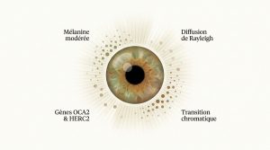 Yeux hazel : secret d'un regard caméléon et conseils beauté
